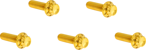 Arlen Ness Bolt Kit Titanium 12Pt Derby Cover  Gold 300-925