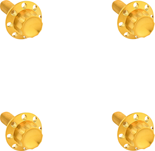 ARLEN NESS 300-841 Arlen Ness Bolt Kit Titanium 12Pt Windshield Gold 300-841