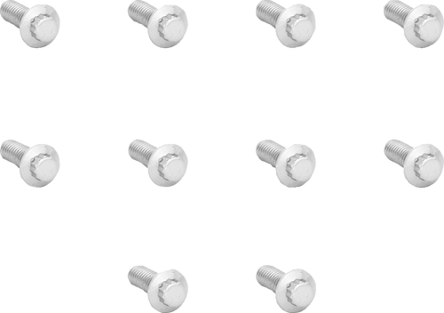 ARLEN NESS 01-485 Arlen Ness Bolts Rotor Polished Stainless 12-Point 01-485