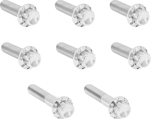 ARLEN NESS 300-712 Arlen Ness Hardware Kit Titanium 12-Pnt Tc 6-Spd Trap Door Plsh 300-712