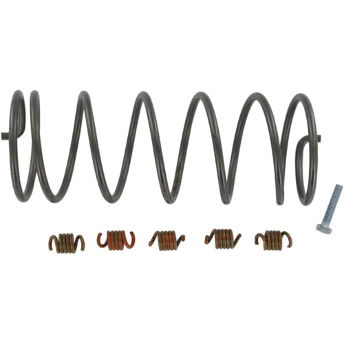 EPI WE493040 Epi Economy Clutch Kit We493040