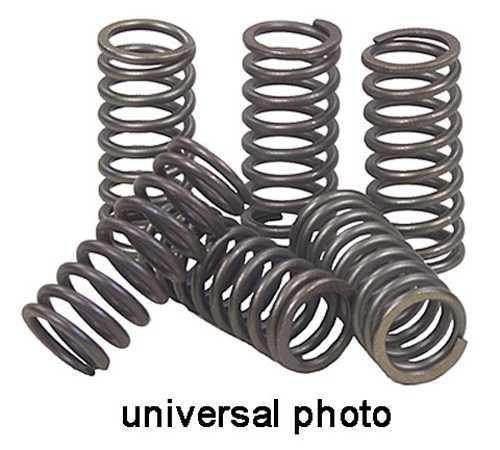 EBC CSK169 Ebc Ebc Clutch Spring Kit Csk169