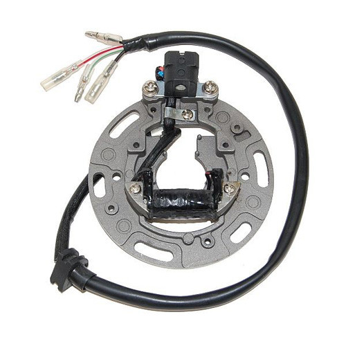 Electrosport Electrosport Stator Kx80/100 (91-97) Esc1361