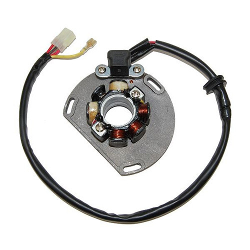 Electrosport Electrosport Lighting Stator - Ktm (06-On) Esl239