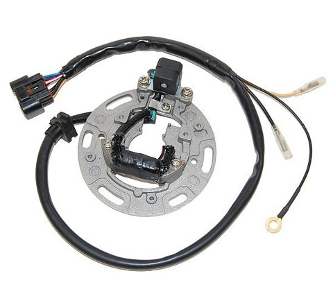 Electrosport Electrosport Stator Kx85/100 (01-05) Esc1366