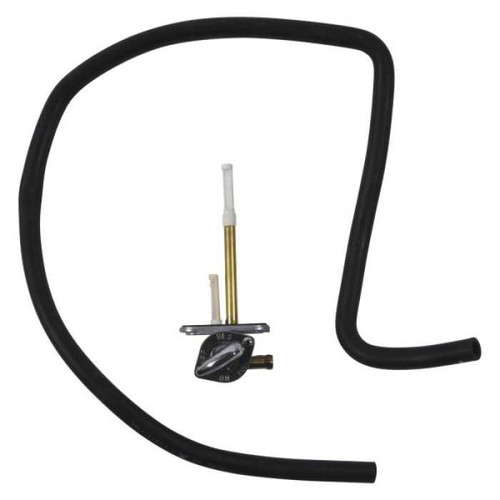FUEL STAR FS101-0216 Fuel Star Fuel Star Fuel Valve Kit Fs101-0216