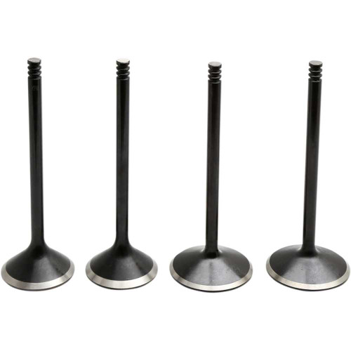 KIBBLEWHITE 2022800 Kibblewhite Valve Kit - Evolution/1200 20-22800