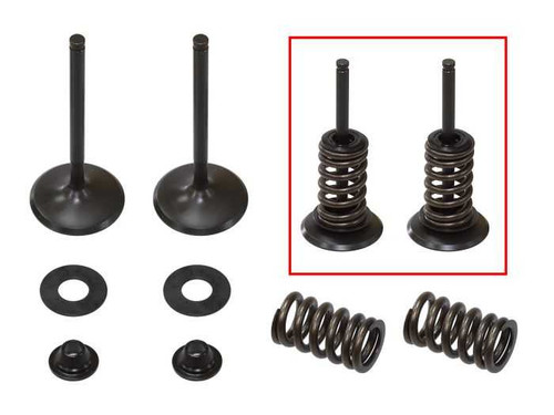 PSYCHIC PRODUCTS XU-09164IK Psychic Products Psychic Intake Valve Kit Xu-09164Ik
