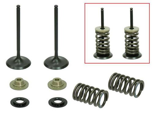 PSYCHIC PRODUCTS XU-09515IK Psychic Products Psychic Intake Valve Kit Xu-09515Ik