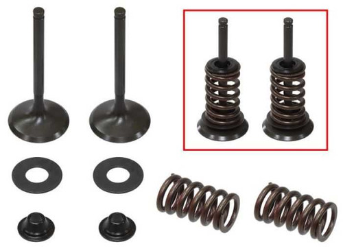 PSYCHIC PRODUCTS XU-09528EK Psychic Products Psychic Exhaust Valve Kit Xu-09528Ek