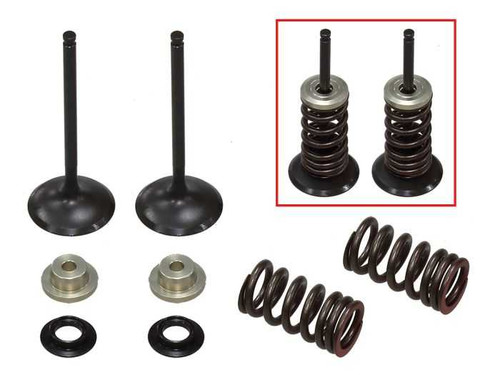 PSYCHIC PRODUCTS XU-09530IK Psychic Products Psychic Intake Valve Kit Xu-09530Ik
