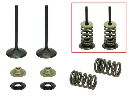 PSYCHIC PRODUCTS XU-09539IK Psychic Products Psychic Intake Valve Kit Xu-09539Ik