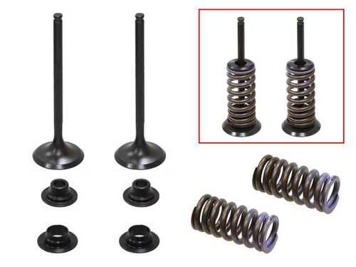 PSYCHIC PRODUCTS XU-09545IK Psychic Products Psychic Intake Valve Kit Xu-09545Ik