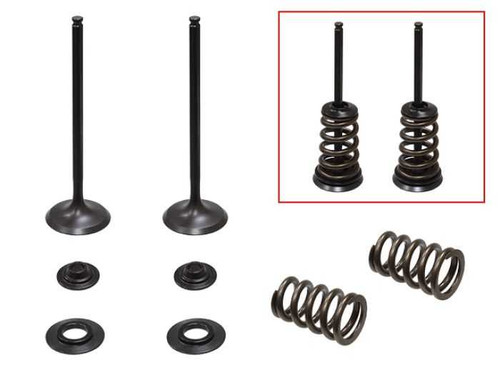 PSYCHIC PRODUCTS XU-09550IK Psychic Products Psychic Intake Valve Kit Xu-09550Ik