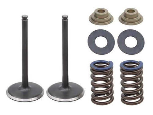 PSYCHIC PRODUCTS XU-09562IK Psychic Products Psychic Exhaust Valve Kit Xu-09562Ik