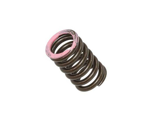 PSYCHIC PRODUCTS XU-09565IS Psychic Products Intake Valve Spring Xu-09565Is