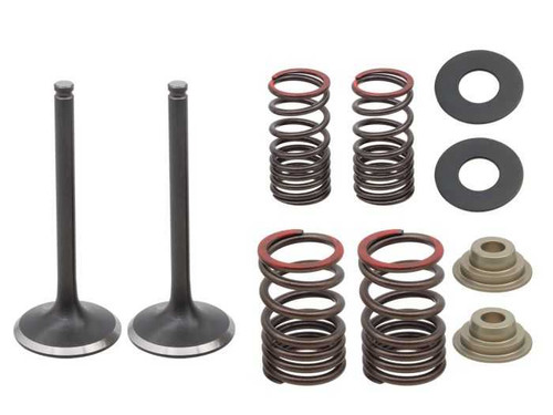 PSYCHIC PRODUCTS XU-09562EK Psychic Products Psychic Exhaust Valve Kit Xu-09562Ek