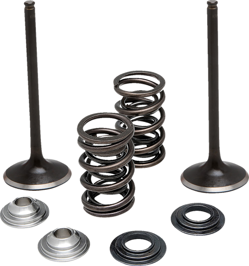 Moose Offroad Valve Kit Intake Ltr450/450Z Moose M60-62250