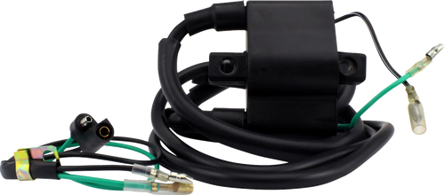 Rm Stator RM06048 Rm Stator Ignition Coil External Arctic Cat Bearcat Rm06048