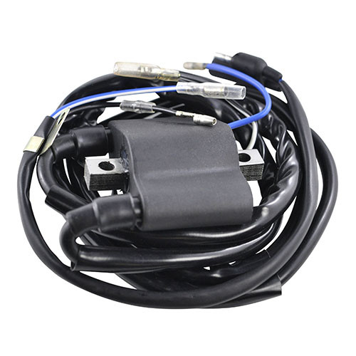 Rmstator External Ignition Coil RM06048