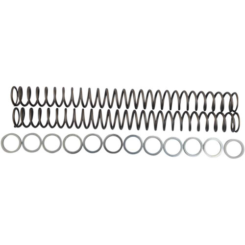 RACE TECH FRSP 434648 Race Tech Fork Springs - 0.48 Kg/Mm Frsp 434648