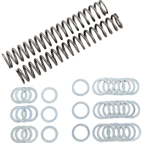 Race Tech Fork Springs - 1.10 Kg/Mm Frsp S3825110