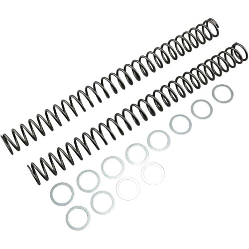 RACE TECH FRSP 414646 Race Tech Fork Springs - 0.46 Kg/Mm Frsp 414646
