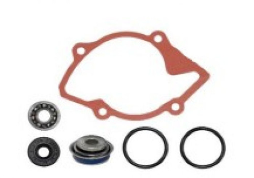 Spi Water Pump Repair Kit SM-10101