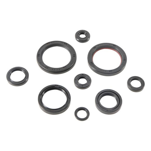 Vertex Engine Oil Seal Kit 822989