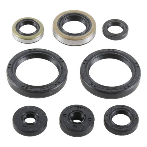 Vertex Engine Oil Seal Kit 822977