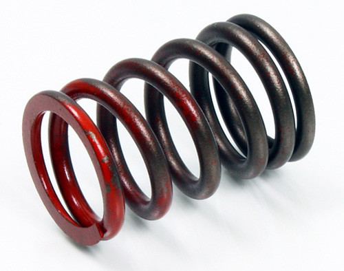 Psychic Exhaust Valve Spring XU-09527ES