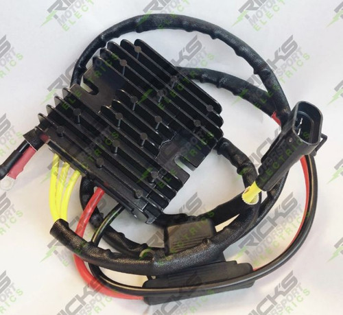 Rick'S Electric Hot Shot Rec/Reg 10-573H