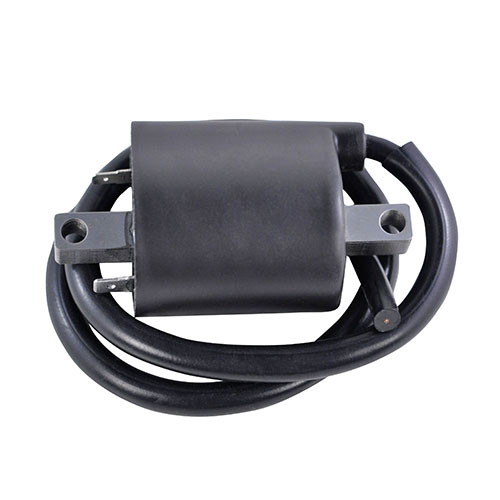 Rmstator External Ignition Coil RM06168