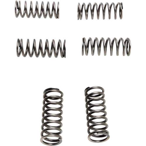 EBC CSK198 Ebc Clutch Springs - 6 Pcs. Csk198
