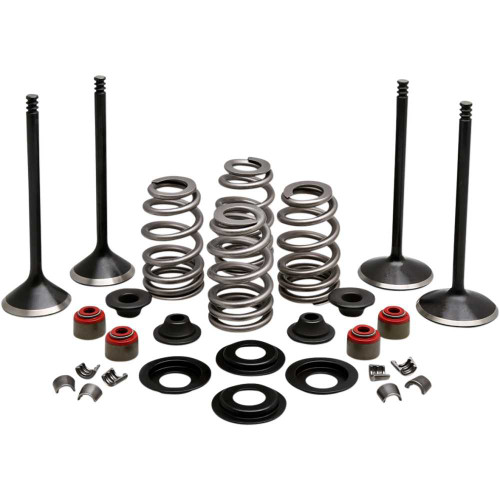 KIBBLEWHITE 2022950 Kibblewhite Complete Valve Kit - Evolution/1200 20-22950