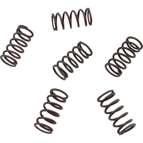 Kg Powersports Clutch Spring Set Kgs-802