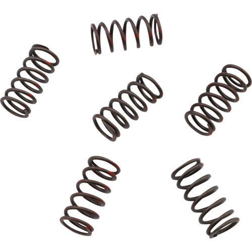 KG POWERSPORTS KGS802 Kg Powersports Clutch Spring Set Kgs-802