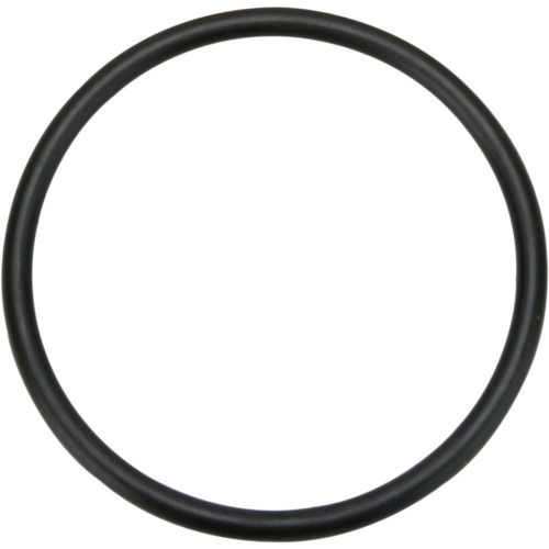 JAMES GASKET JGI11113 James Gasket 5Th Gear Transmission O-Ring - Xl Jgi-11113
