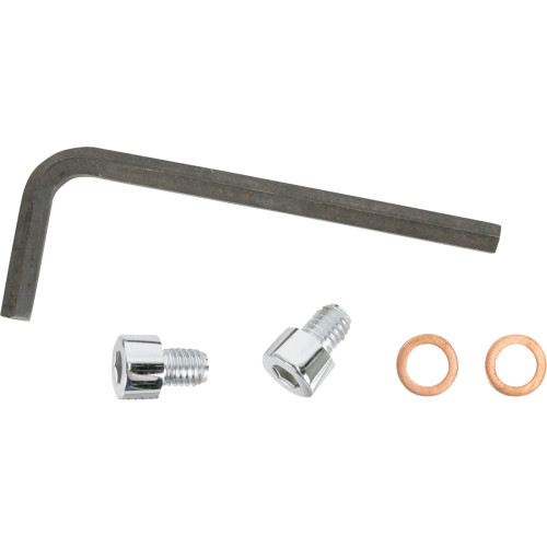 Gardner-Westcott Drain Plug - Fork - Allen Head - Chrome C-20-58