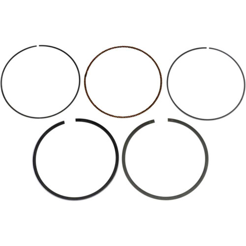 PROX 021495025 Prox Ring Set 02.1495.025