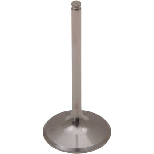 DEL WEST DW450RIV09ND Del West Intake Valve Dw450Riv09Nd