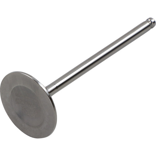 Del West Intake Valve Dwyfz450R22Iv03