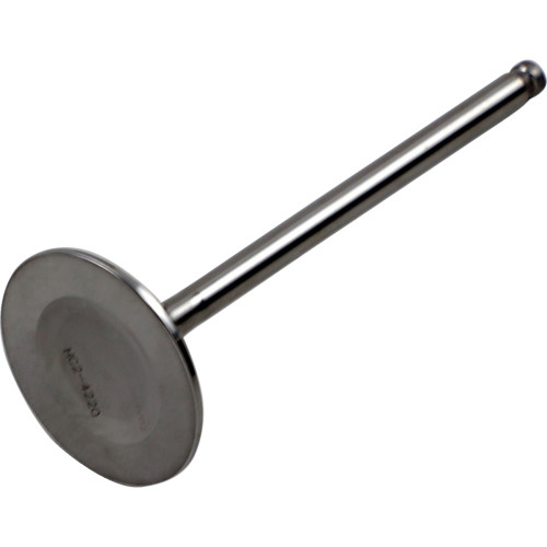 Del West Intake Valve Dwyfz450R21Iv03