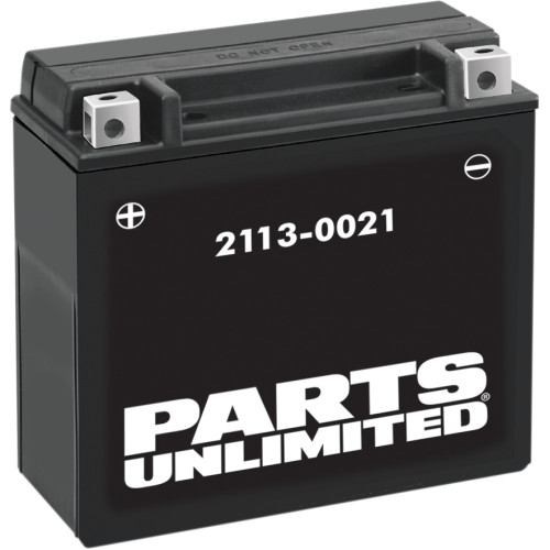 Parts Unlimited Agm Battery - Ytx20H-Bs .95 L