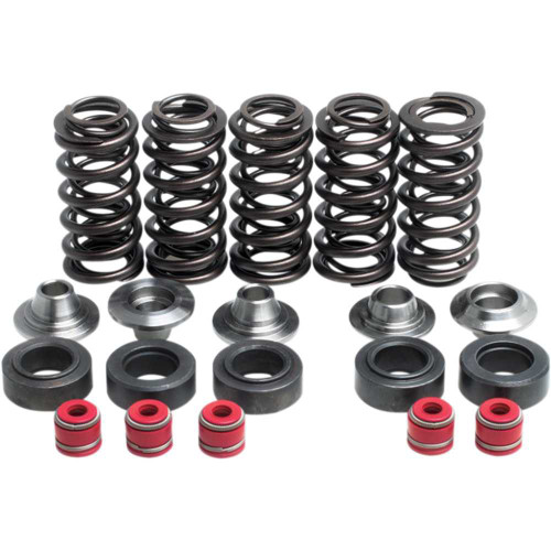 KIBBLEWHITE 8080100 Kibblewhite Valve Spring Kit 80-80100