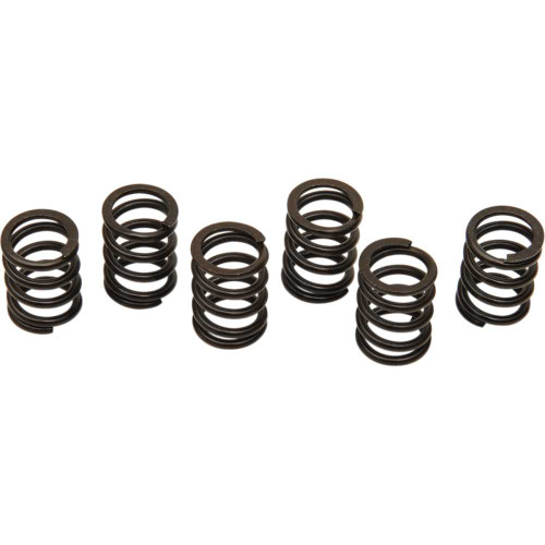 BARNETT 5013806012 Barnett Clutch Spring Set 501-38-06012