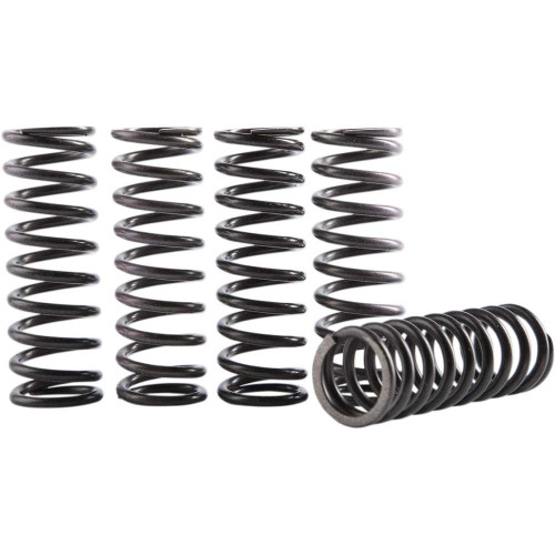 HINSON RACING CS18950613 Hinson Racing Clutch Spring Kit - Crf250R/Rx Cs189-5-0613