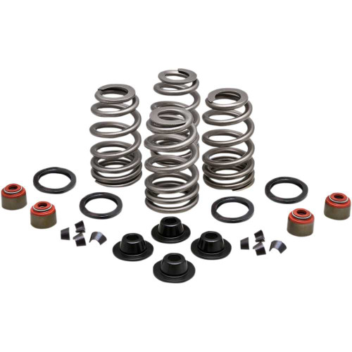 KIBBLEWHITE 2021550 Kibblewhite Spring Kit - .660" - Twin Cam 20-21550