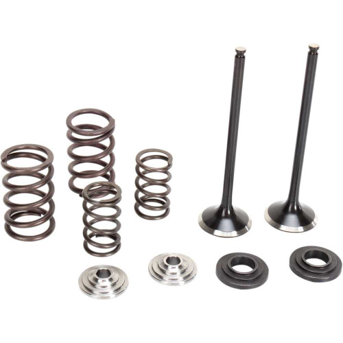 MOOSE RACING M9696460 Moose Racing Valve And Spring Kit M96-96460