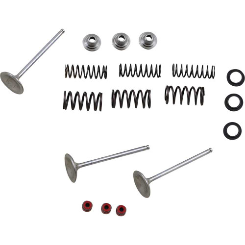 MOOSE RACING M8080950 Moose Racing Intake Valve Kit M80-80950